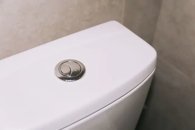 WC:n vesisäiliön kansi ja huuhtelunappi